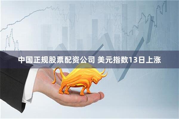 中国正规股票配资公司 美元指数13日上涨